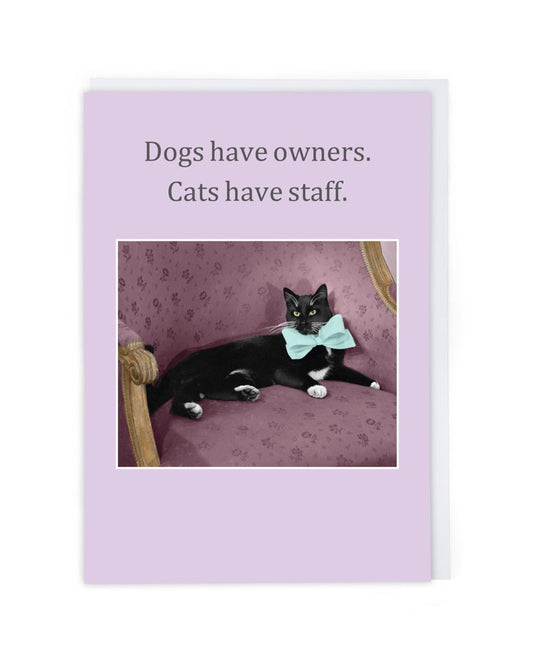 "Cats have staff" Greeting Card