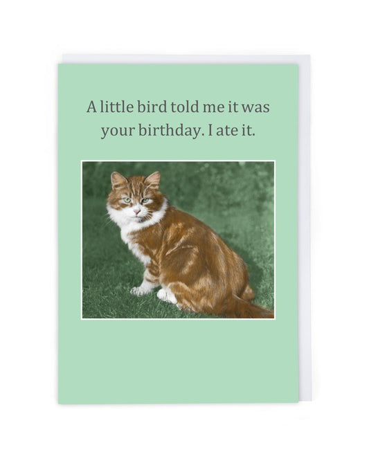 "A little bird told me" Card