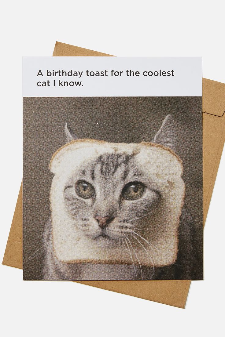 TYPO Coolest Cat Card